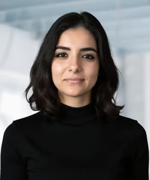 Shaimaa - Accountant